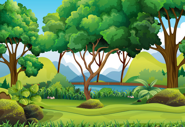 Forest scene with river and trees