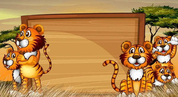 Frame mall med tigrar i fältet — Stock vektor