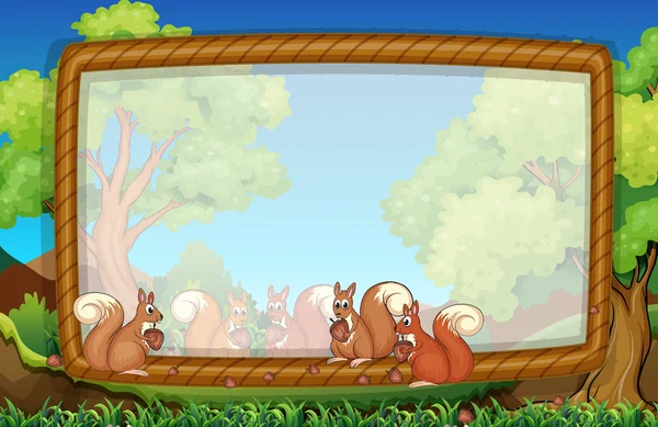 Frame sjabloon met eekhoorns in park — Stockvector