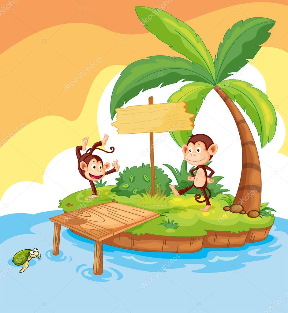 Two monkeys on island