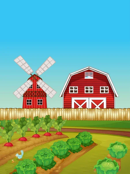 Farmě scény s zeleninová zahrada a stodola — Stockový vektor
