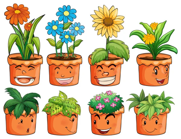 Différents types de plantes dans des pots d'argile — Image vectorielle