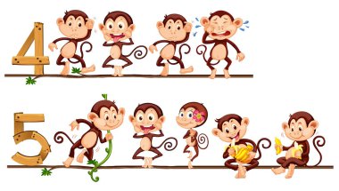 Dört ve beş maymunlarla sayılması