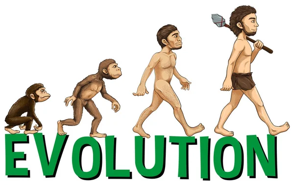 3,545 ilustraciones de stock de Evolución humana | Depositphotos®