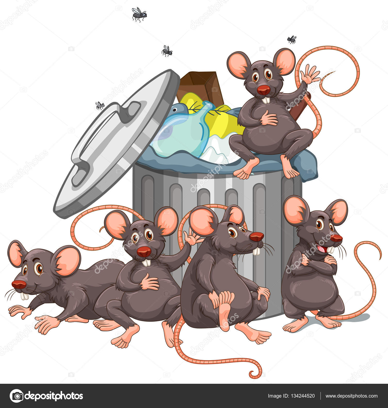 Résultat de recherche d'images pour "rats + poubelle"
