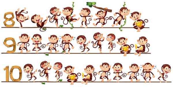 计数与猴子 — 图库矢量图片
