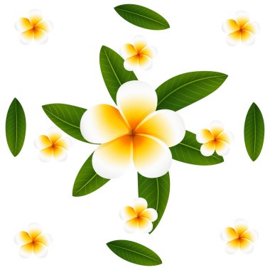 Plumeria ve yaprakları sorunsuz arka plan tasarımı