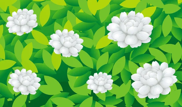 Jasmin fleurs dans la brousse — Image vectorielle