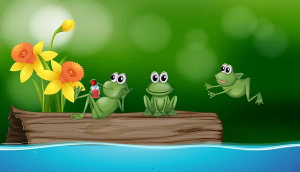 Три зелені жаби на колоді — стоковий вектор