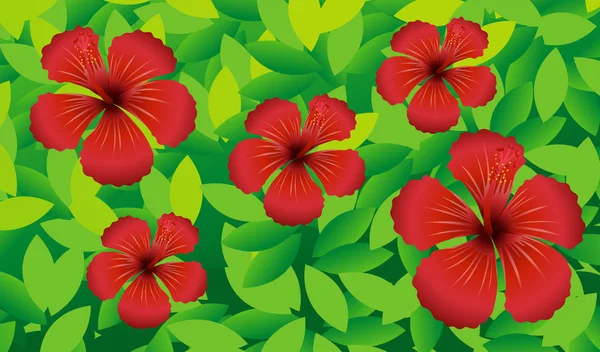 Flores rojas de hibicus en el arbusto — Vector de stock