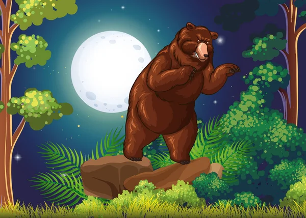 Wild bear in the jungle at night — Stock Vector