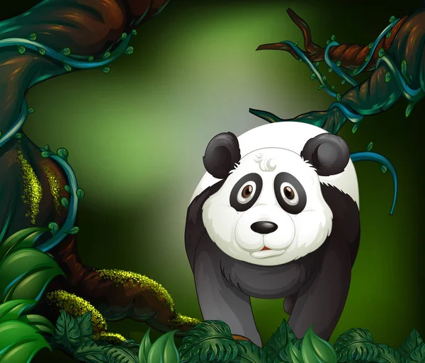 Panda in a rain forest — Stock Vector
