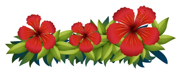 Red hibiscus in green bush — Stock Vector