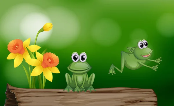Dwie zielone żaby w dzienniku — Wektor stockowy