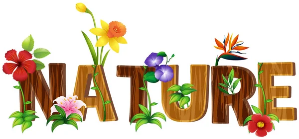 Lettertype ontwerp voor woord natuur met verschillende soorten bloemen — Stockvector