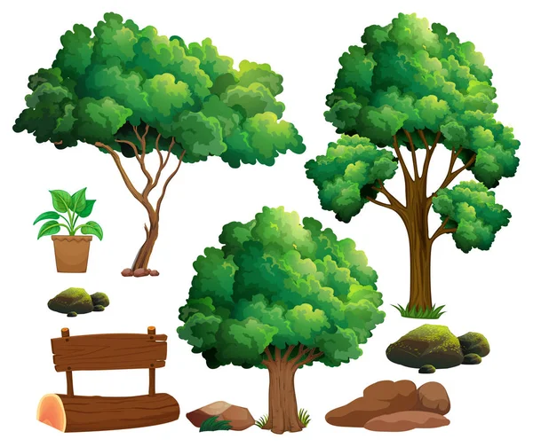 Různé druhy stromů a zahradní prvky — Stockový vektor