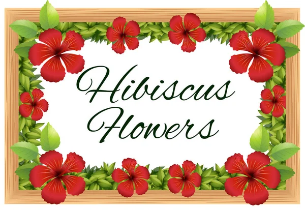 Ahşap çerçeve çevresinde Hibiscus çiçek — Stok Vektör