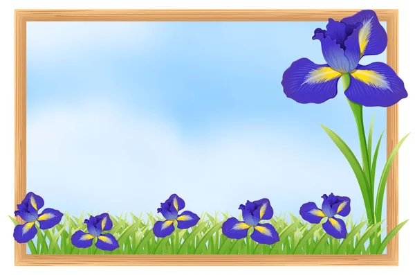 Frame design with blue flowers — Stock Vector