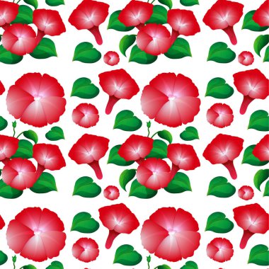 Sorunsuz arka plan tasarımı kırmızı sabah zafer çiçekli