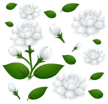 Free Free 272 Jasmine Flower Svg Free SVG PNG EPS DXF File