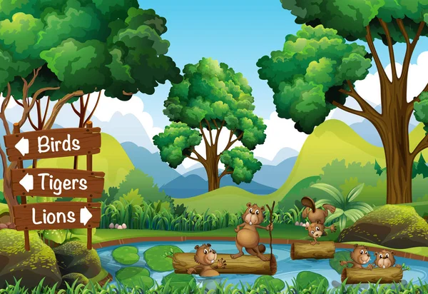 Beavers in the pond and signs for other animals — Stock Vector