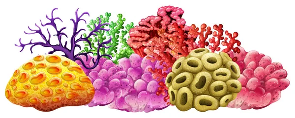 Diferentes colores de arrecife de coral — Vector de stock