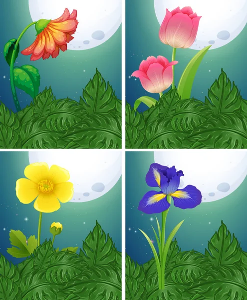 Diferentes tipos de flores en la noche de luna llena — Vector de stock