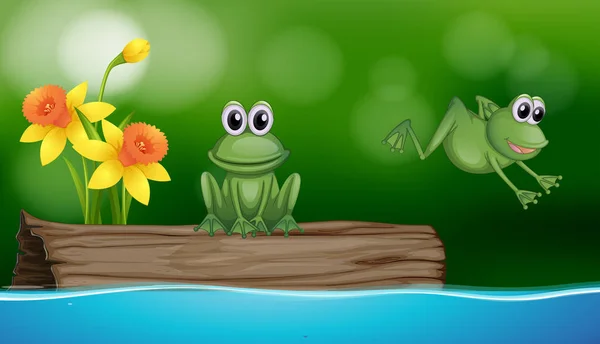 Two green frogs at the pond scene — Stock Vector