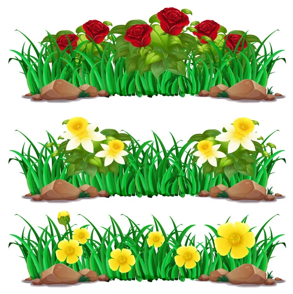 Diferentes tipos de flores en arbusto — Vector de stock