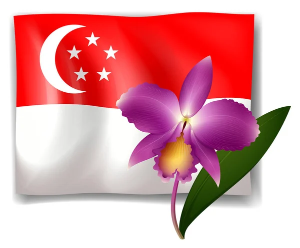 Purple orchid and Singapore flag — Stock Vector