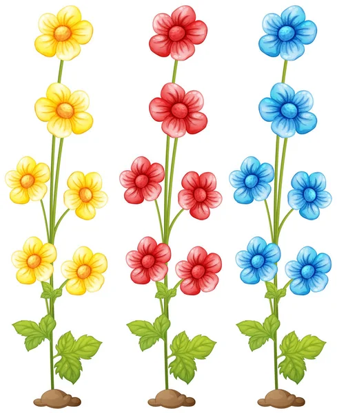 Flowers in three colors — Stock Vector