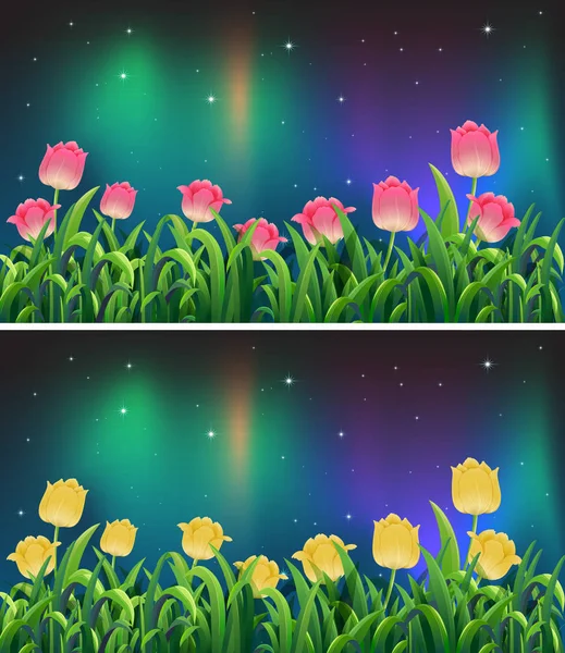 Sceny z kwiatów tulipanów różowy i żółty w nocy — Wektor stockowy