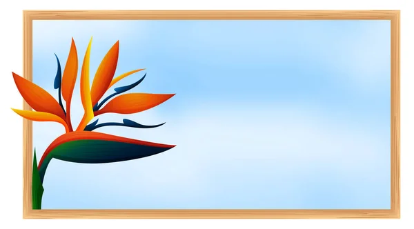 Frame sjabloon met paradijsvogel bloem — Stockvector