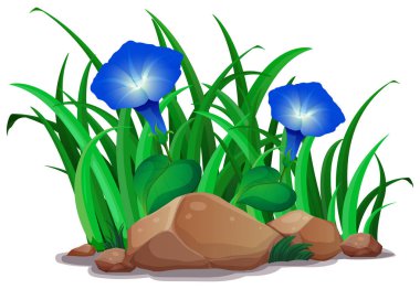 Mavi sabah zafer bahçe içinde