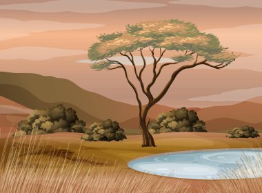 Gölet alanında ile sahne