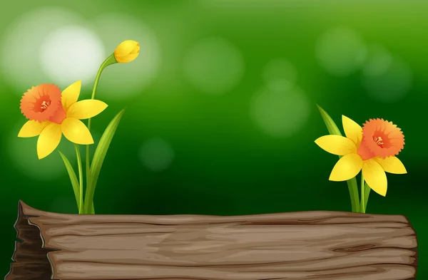 Daffodil flowers and log Stock Vector