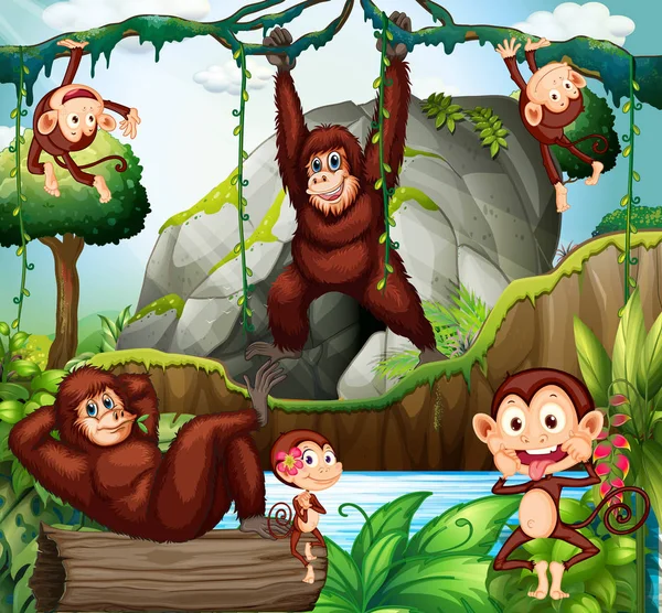 Different types of monkeys in forest — Stock Vector