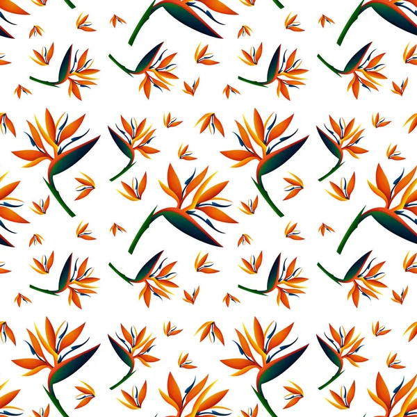 Diseño de fondo sin costuras con flores de pájaro del paraíso — Vector de stock