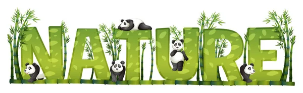 Conception de polices pour la nature avec panda et bambou — Image vectorielle