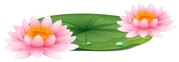Pink lotus on green leaf — Stock Vector