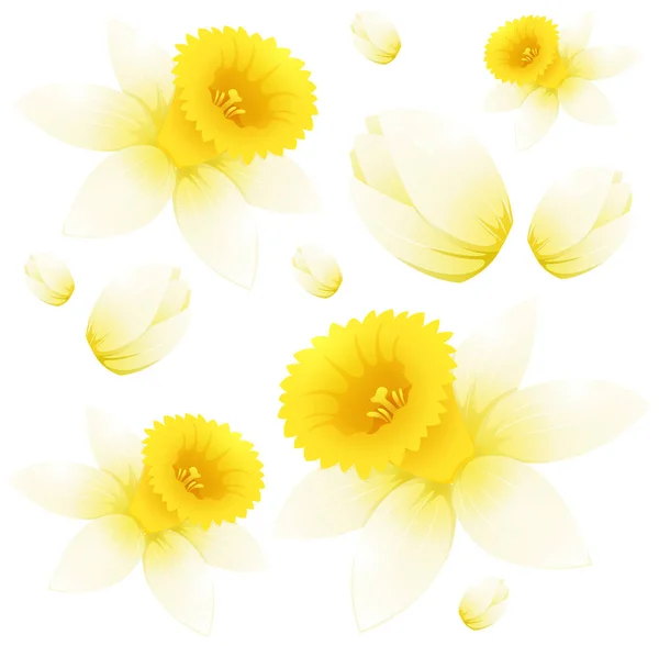 Seamless background design with daffodil flowers — Stock Vector