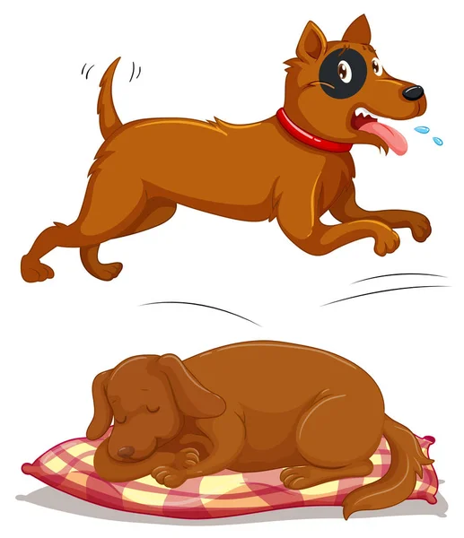 Brown dogs running and slepping — Stock Vector