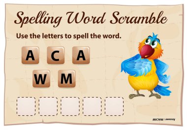 Yazım kelime scramble için kelime Amerika papağanı