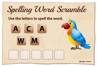 Word scramble oyun şablonu Amerika papağanı ile yazım denetimi