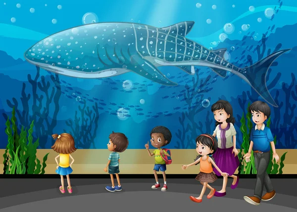 Killer whale in the aquarium — Stock Vector