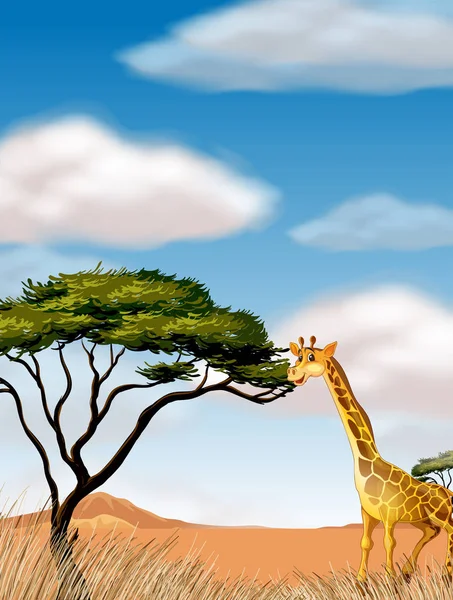 Girafe courir dans le domaine — Image vectorielle