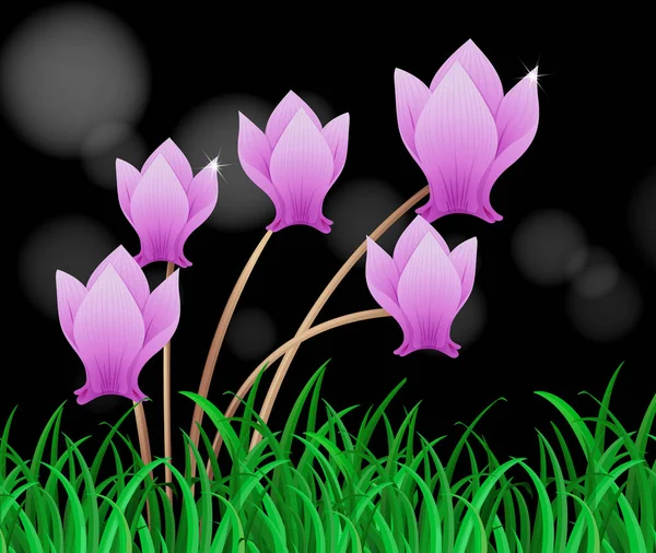Květina Cyclamen ve fialové barvě — Stockový vektor