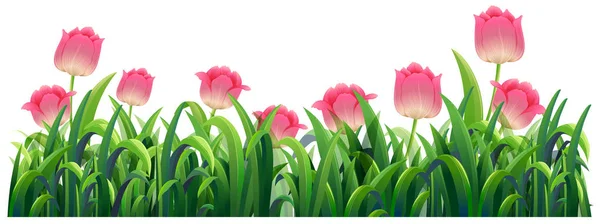 Tulipan różowy kwiaty w buszu — Wektor stockowy