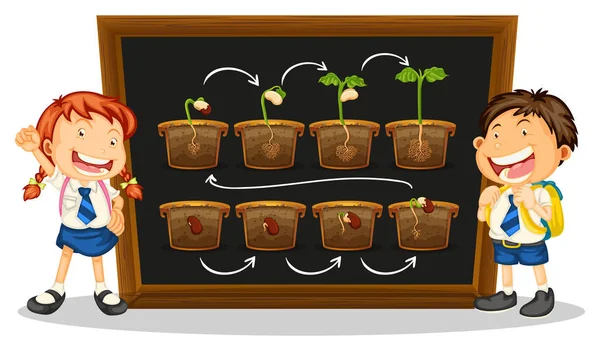 Niños y diagrama de planta en crecimiento a bordo Vector De Stock