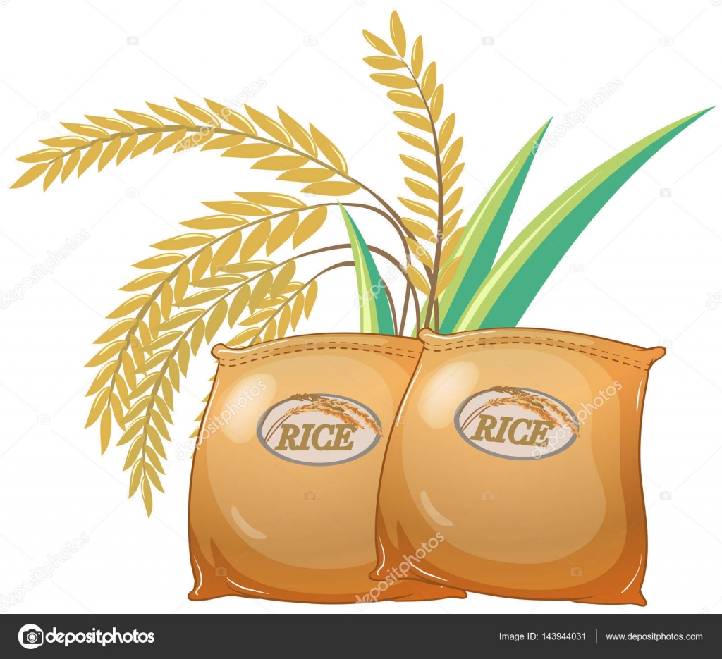 Two Bags Of Rice Stock Vector Interactimages 143944031 two-bags-of-rice-stock-vector-interactimages-143944031